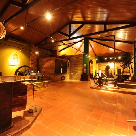 WhatsApp Image 2022-04-07 at 11.35.25 (1)