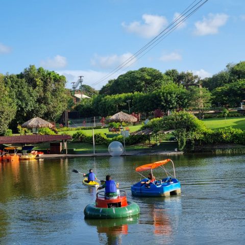 WhatsApp Image 2022-04-07 at 11.50.22