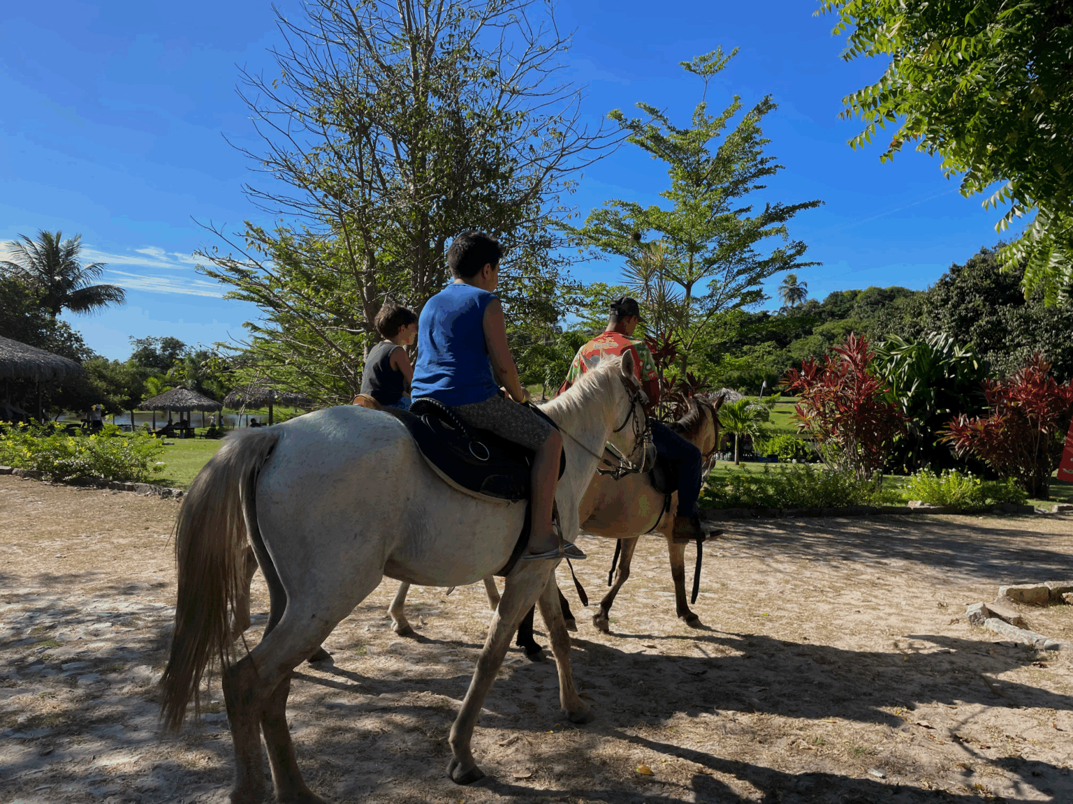 Passeio a cavalo