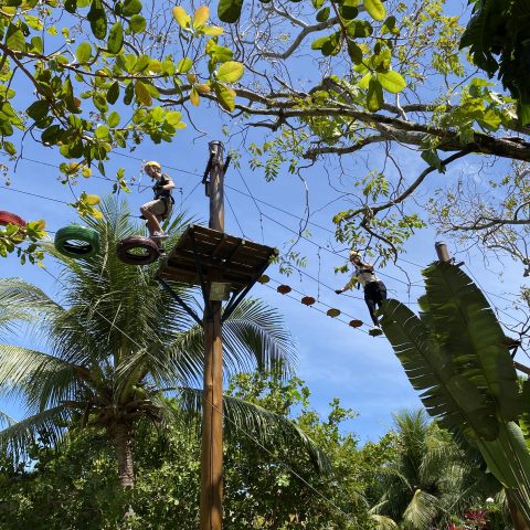 E48D29DD-0A1B-49FF-AFCA-143AC12A859A