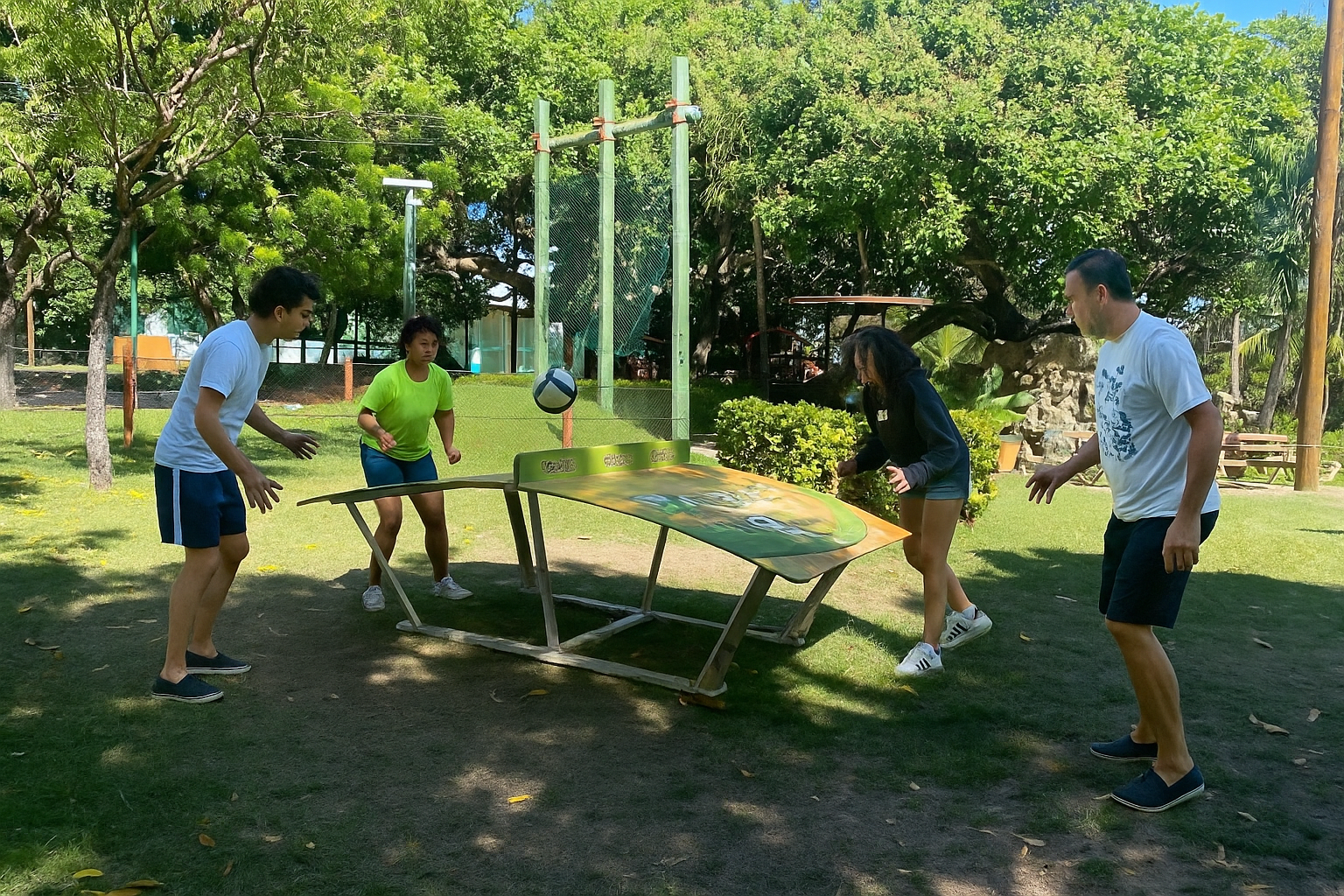 Futmesa