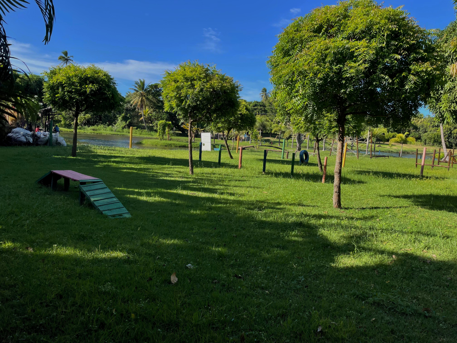 Engenhocão