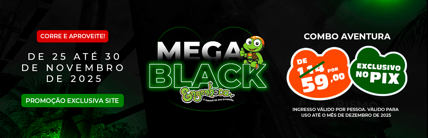 Promoção Engenhoca